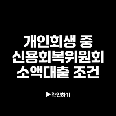 개인회생 중 신용회복위원회 소액대출 조건