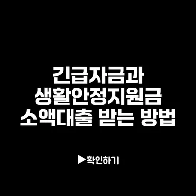 긴급자금과 생활안정지원금: 소액대출 받는 방법