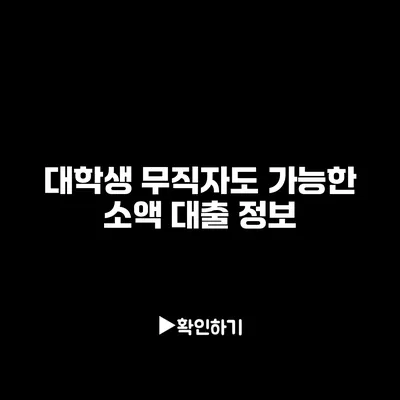 대학생 무직자도 가능한 소액 대출 정보