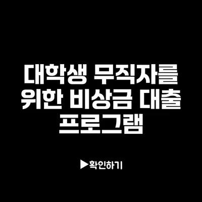 대학생 무직자를 위한 비상금 대출 프로그램