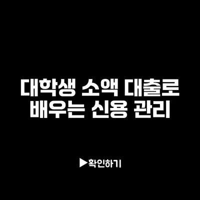 대학생 소액 대출로 배우는 신용 관리