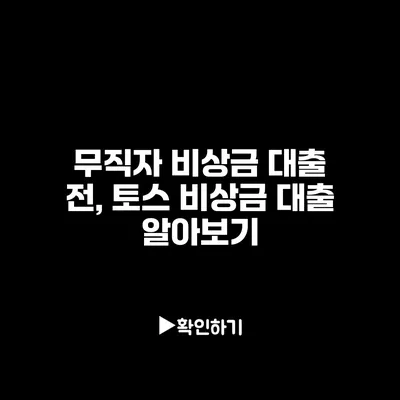 무직자 비상금 대출 전, 토스 비상금 대출 알아보기