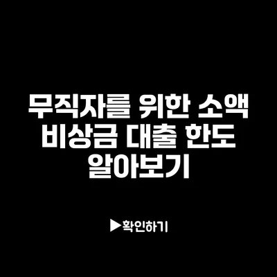 무직자를 위한 소액 비상금 대출 한도 알아보기