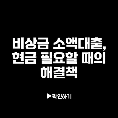 비상금 소액대출, 현금 필요할 때의 해결책