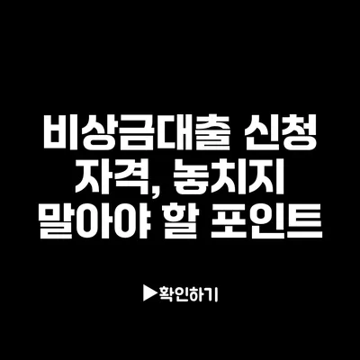 비상금대출 신청 자격, 놓치지 말아야 할 포인트 비상금대출 신청 자격, 놓치지 말아야 할 포인트