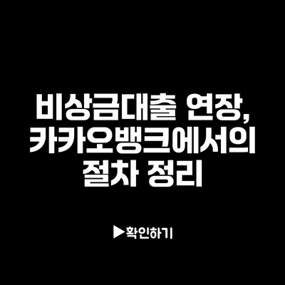 비상금대출 연장, 카카오뱅크에서의 절차 정리