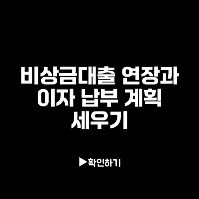 비상금대출 연장과 이자 납부 계획 세우기