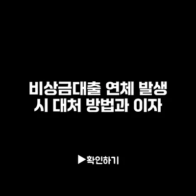 비상금대출 연체 발생 시 대처 방법과 이자