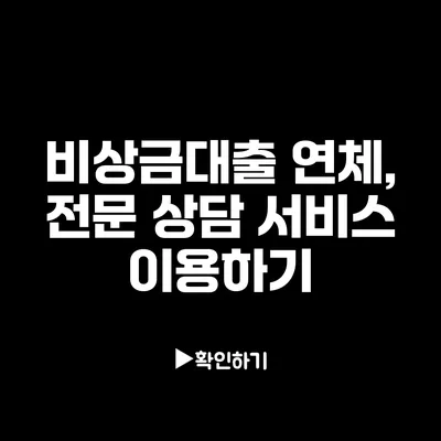 비상금대출 연체, 전문 상담 서비스 이용하기