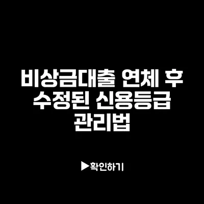 비상금대출 연체 후 수정된 신용등급 관리법