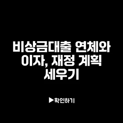 비상금대출 연체와 이자, 재정 계획 세우기