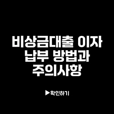 비상금대출 이자 납부 방법과 주의사항
