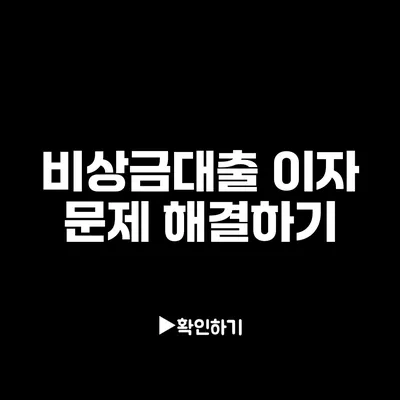 비상금대출 이자 문제 해결하기