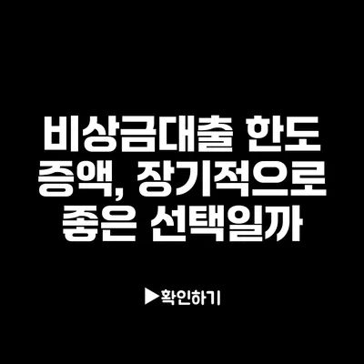 비상금대출 한도 증액, 장기적으로 좋은 선택일까?