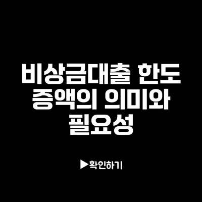 비상금대출 한도 증액의 의미와 필요성 비상금대출 한도 증액의 의미와 필요성