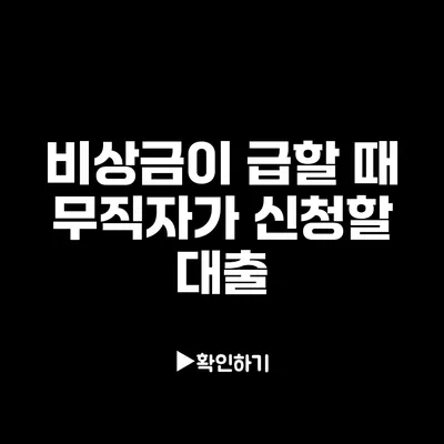 비상금이 급할 때 무직자가 신청할 대출