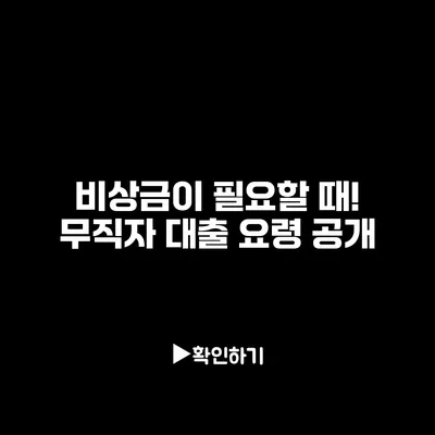 비상금이 필요할 때! 무직자 대출 요령 공개