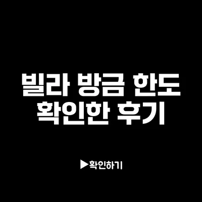 빌라 방금 한도 확인한 후기