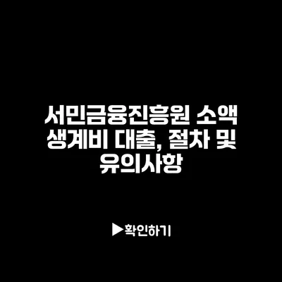 서민금융진흥원 소액 생계비 대출, 절차 및 유의사항