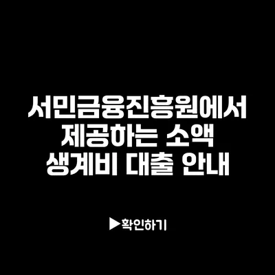 서민금융진흥원에서 제공하는 소액 생계비 대출 안내