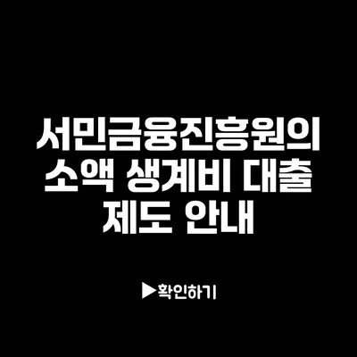 서민금융진흥원의 소액 생계비 대출 제도 안내