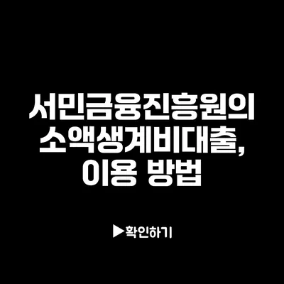 서민금융진흥원의 소액생계비대출, 이용 방법
