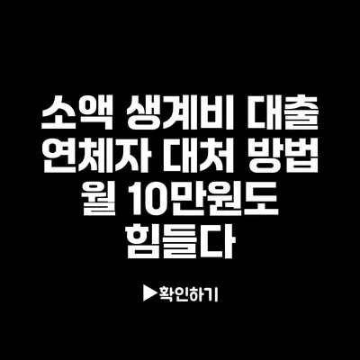 소액 생계비 대출 연체자 대처 방법: 월 10만원도 힘들다