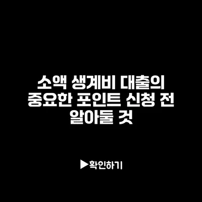 소액 생계비 대출의 중요한 포인트: 신청 전 알아둘 것