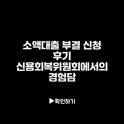 소액대출 부결 신청 후기: 신용회복위원회에서의 경험담 소액대출 부결 신청 후기: 신용회복위원회에서의 경험담
