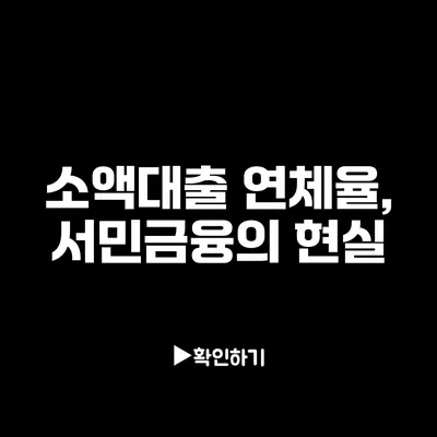 소액대출 연체율, 서민금융의 현실