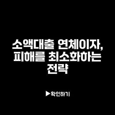 소액대출 연체이자, 피해를 최소화하는 전략
