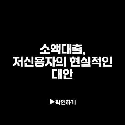 소액대출, 저신용자의 현실적인 대안