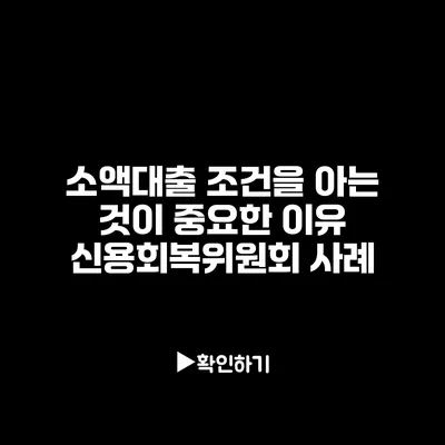 소액대출 조건을 아는 것이 중요한 이유: 신용회복위원회 사례
