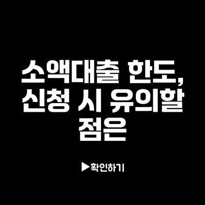 소액대출 한도, 신청 시 유의할 점은?