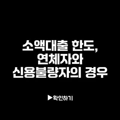 소액대출 한도, 연체자와 신용불량자의 경우