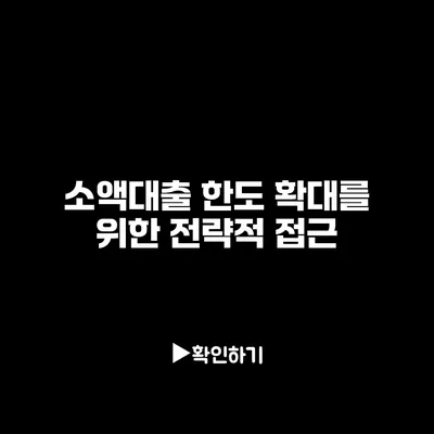 소액대출 한도 확대를 위한 전략적 접근