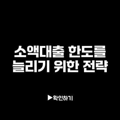 소액대출 한도를 늘리기 위한 전략
