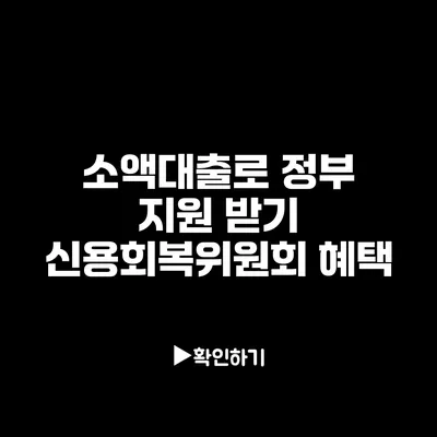 소액대출로 정부 지원 받기: 신용회복위원회 혜택