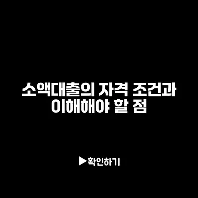 소액대출의 자격 조건과 이해해야 할 점 소액대출의 자격 조건과 이해해야 할 점