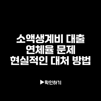 소액생계비 대출 연체율 문제: 현실적인 대처 방법