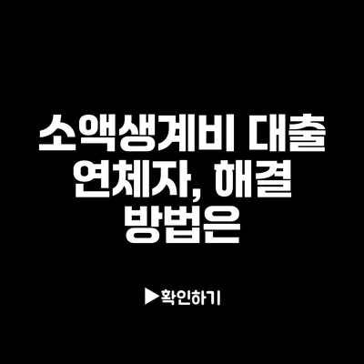 소액생계비 대출 연체자, 해결 방법은?