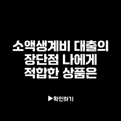 소액생계비 대출의 장단점: 나에게 적합한 상품은?