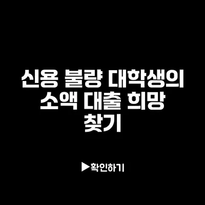 신용 불량 대학생의 소액 대출 희망 찾기