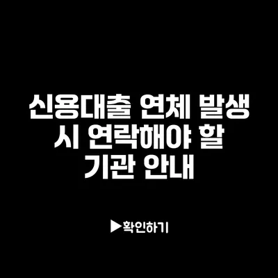 신용대출 연체 발생 시 연락해야 할 기관 안내