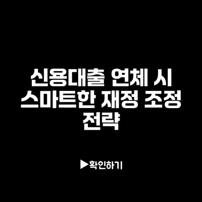 신용대출 연체 시 스마트한 재정 조정 전략