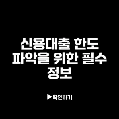 신용대출 한도 파악을 위한 필수 정보