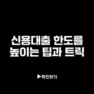 신용대출 한도를 높이는 팁과 트릭