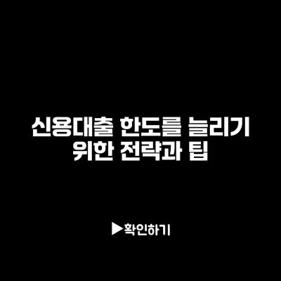 신용대출 한도를 늘리기 위한 전략과 팁
