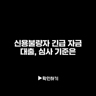 신용불량자 긴급 자금 대출, 심사 기준은?