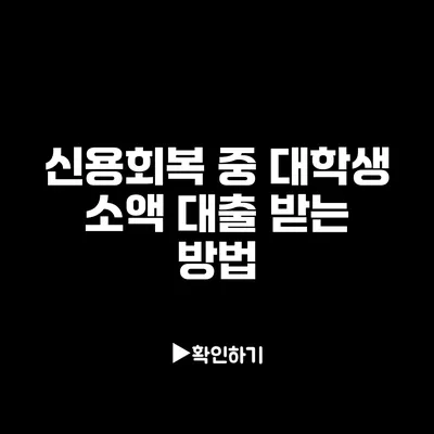신용회복 중 대학생 소액 대출 받는 방법 신용회복 중 대학생 소액 대출 받는 방법